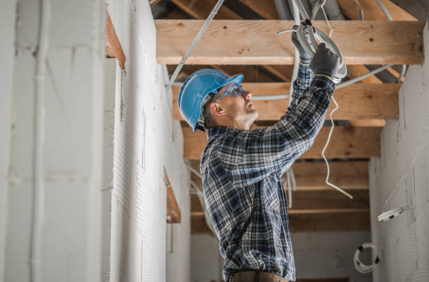 Best Electric Panel Repair  in Prairie View, TX